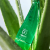 Holika Holika - Aloe 99% Soothing Gel - Aloesowy Żel do Twarzy i Ciała - 250ml w aranżacji